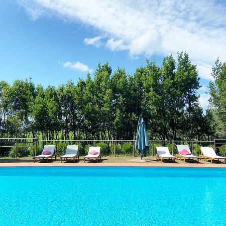 Apartament Relais Casale Il Poggetto - Oleandri By Zoom In Earth Cecina  Zewnętrze zdjęcie