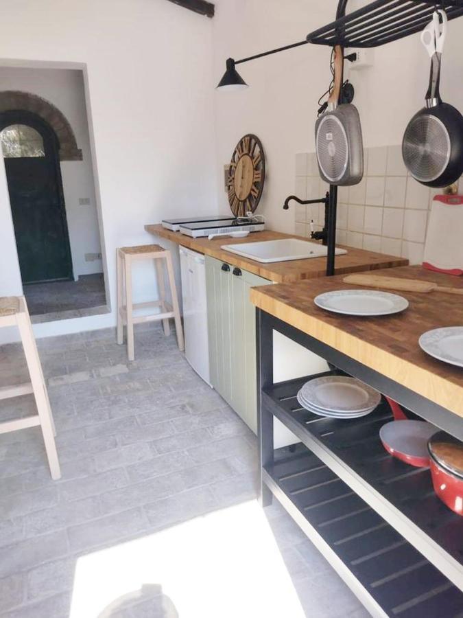 Apartament Relais Casale Il Poggetto - Oleandri By Zoom In Earth Cecina  Zewnętrze zdjęcie